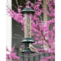 Squirrel Buster Evolution-BD1134